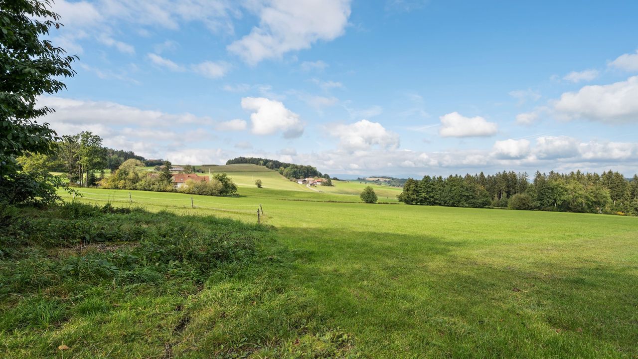 AreaSummer1KM AreaSummer1KM